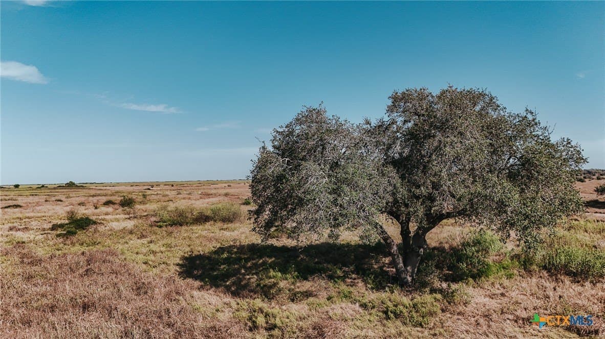 65.29 acres in Victoria County - photo 11