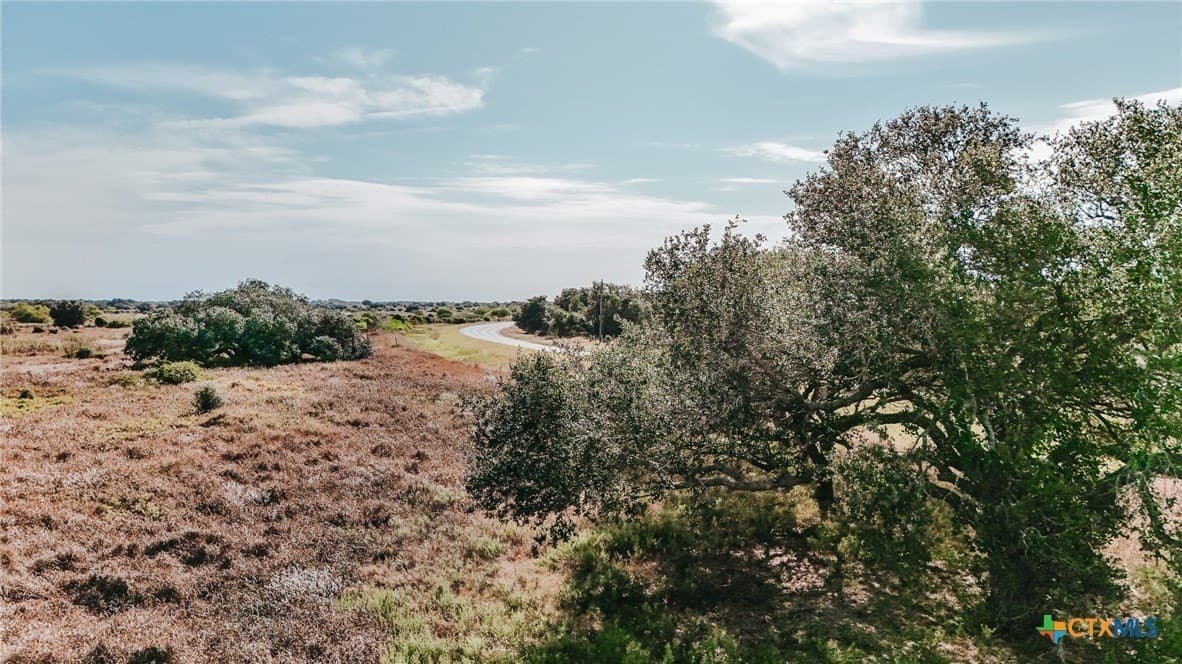 65.29 acres in Victoria County - photo 9