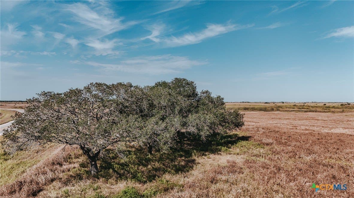 65.29 acres in Victoria County - photo 8