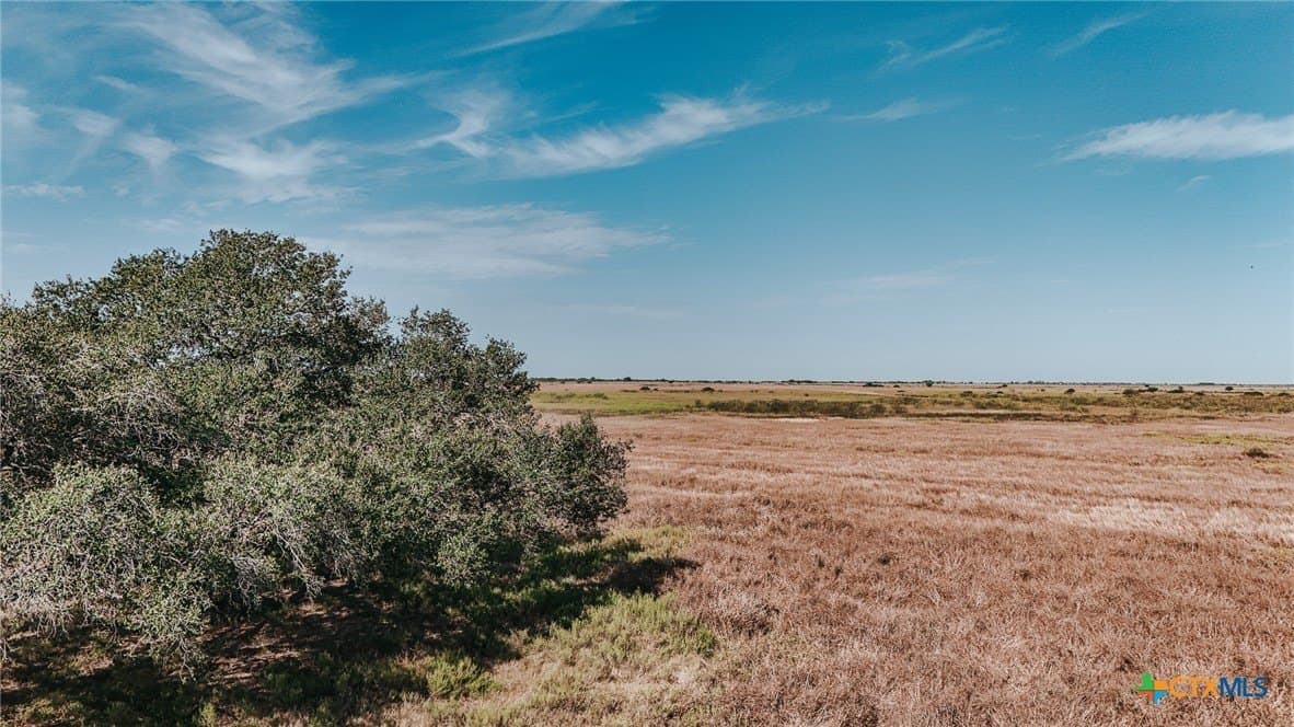 65.29 acres in Victoria County - photo 10