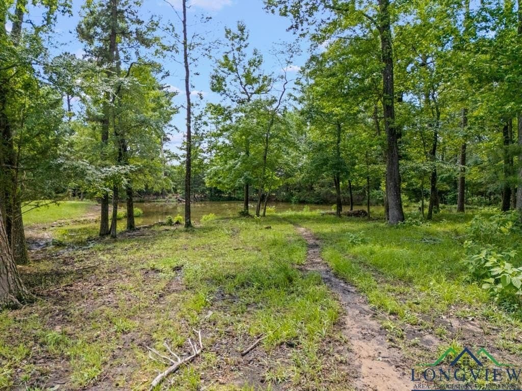 51.26 acres in Texas County - photo 23