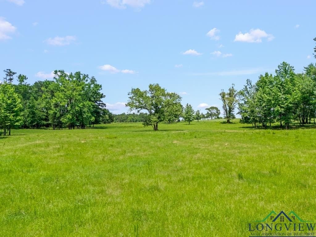 51.26 acres in Texas County - photo 17