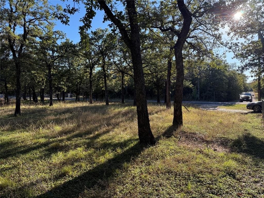 0.23 acres in Hill County - photo 9