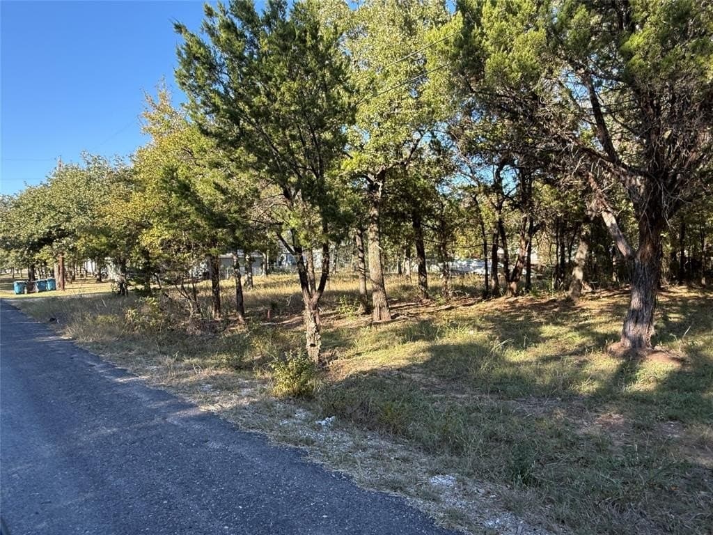 0.23 acres in Hill County - photo 8