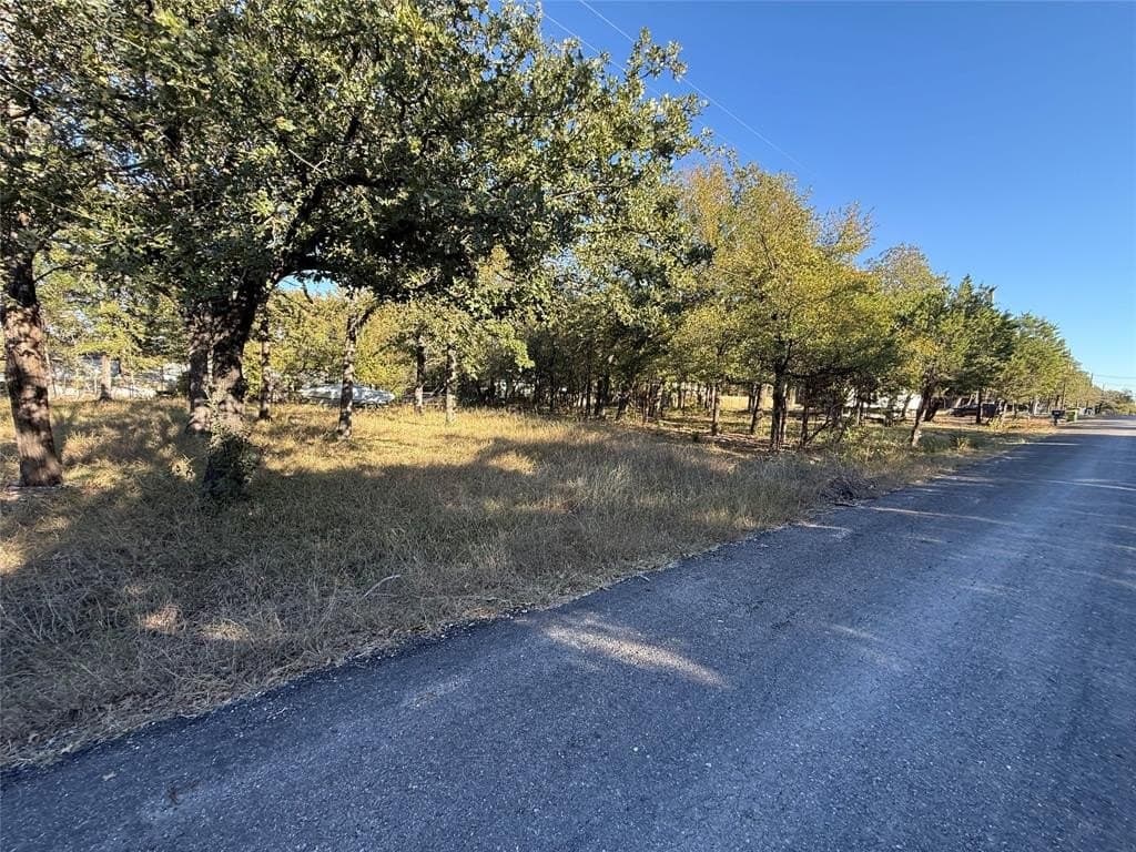 0.23 acres in Hill County - photo 5