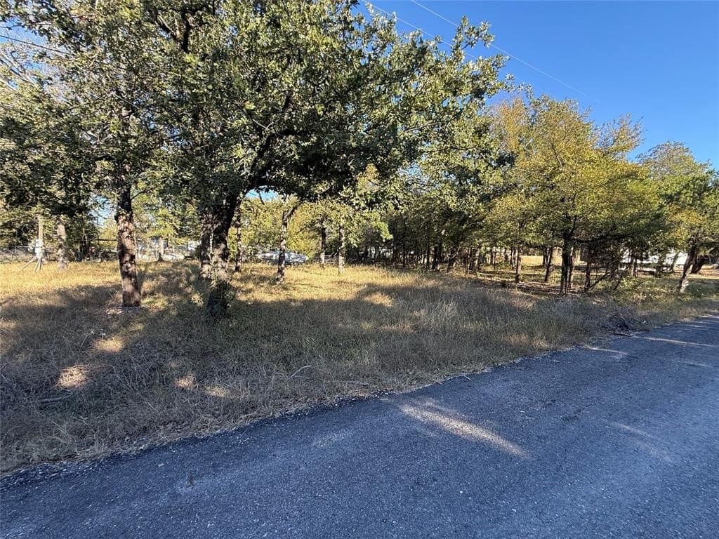 0.23 acres in Hill County - photo 4
