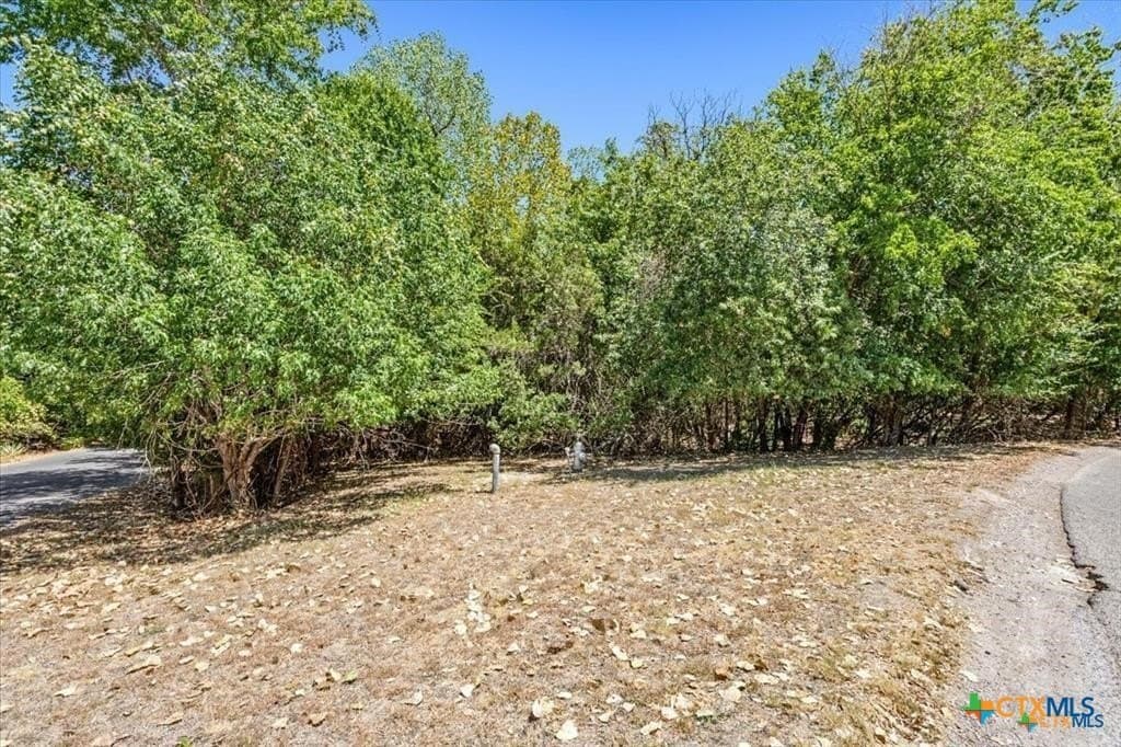 0.87 acres in Bell County - photo 3
