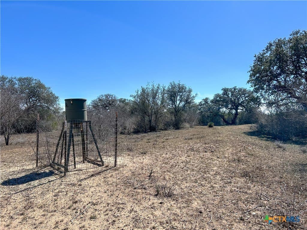 37.04 acres in Bee County - photo 43