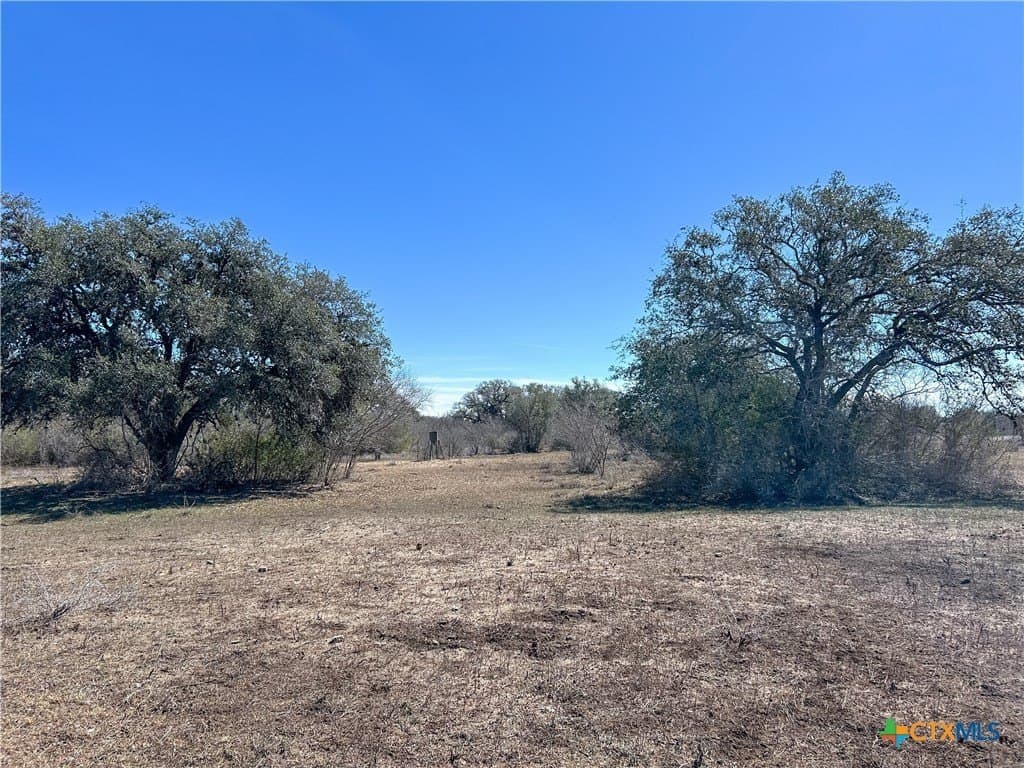 37.04 acres in Bee County - photo 37