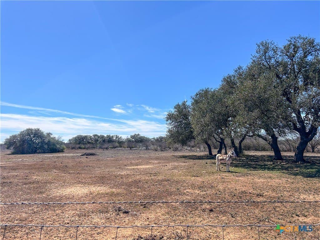 37.04 acres in Bee County - photo 35