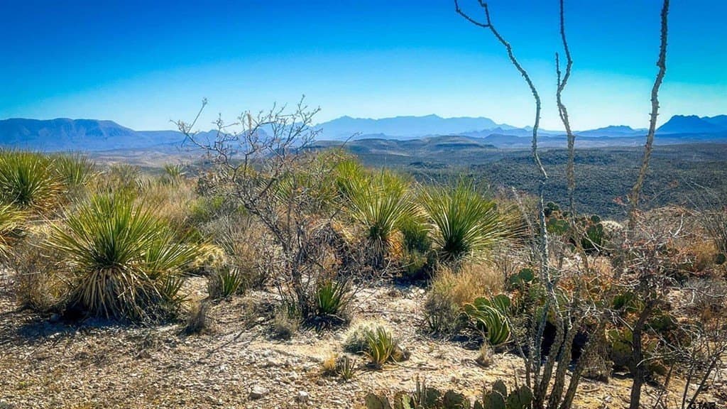 20 acres in Brewster County - photo 4