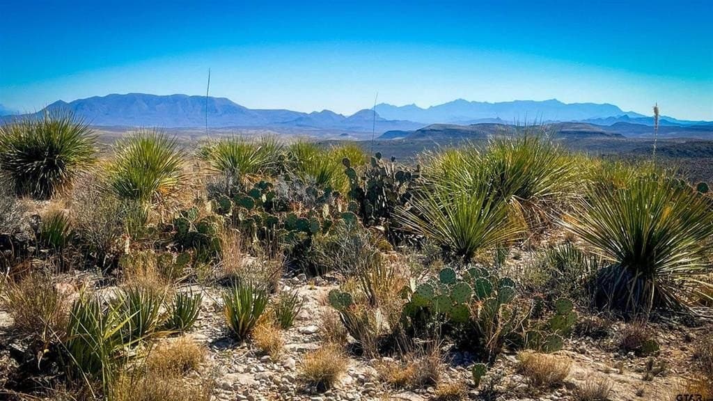 20 acres in Brewster County - photo 2