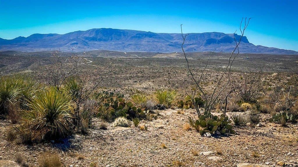 20 acres in Brewster County - photo 5