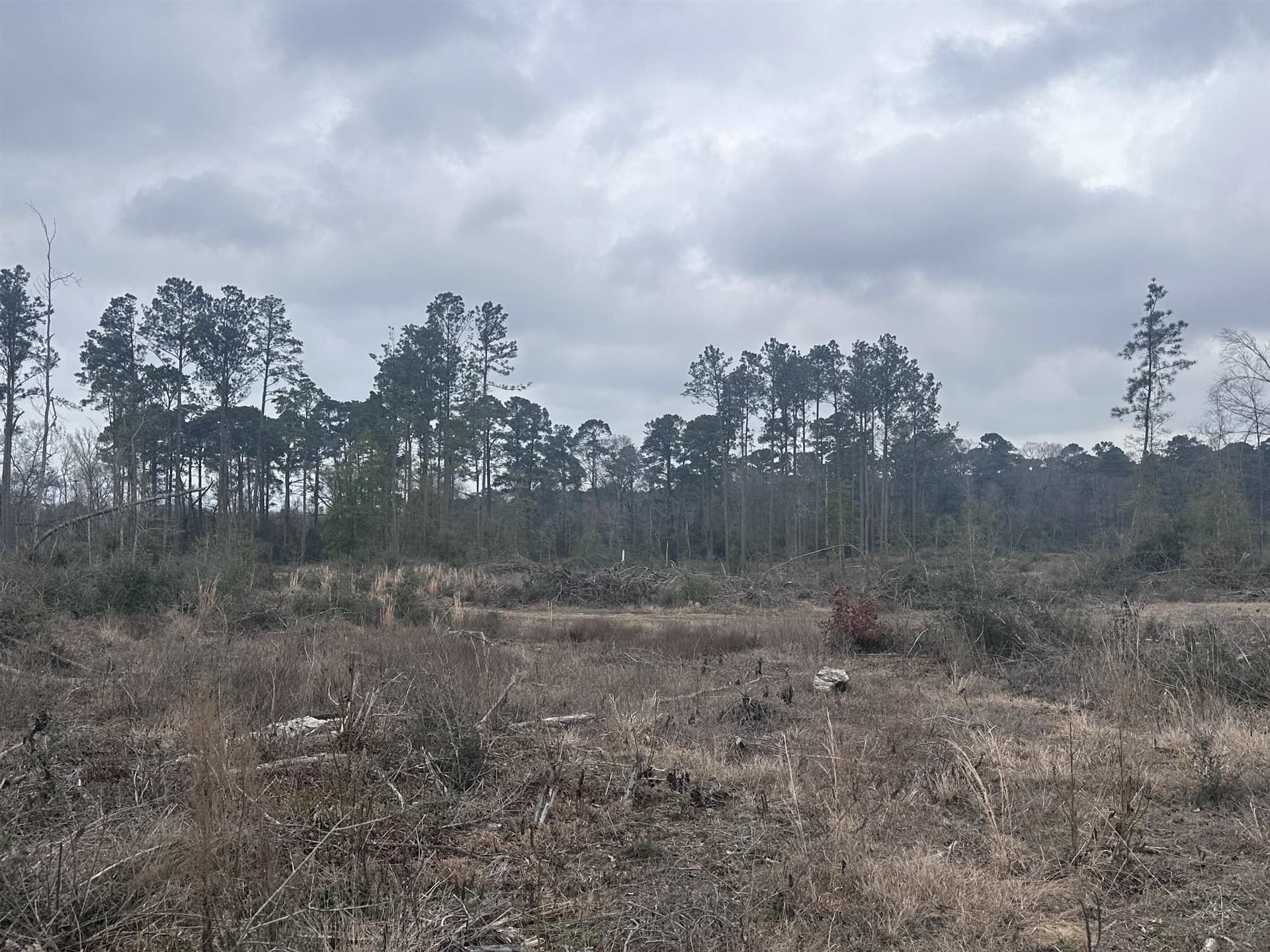 77.87 acres in Shelby County - photo 17