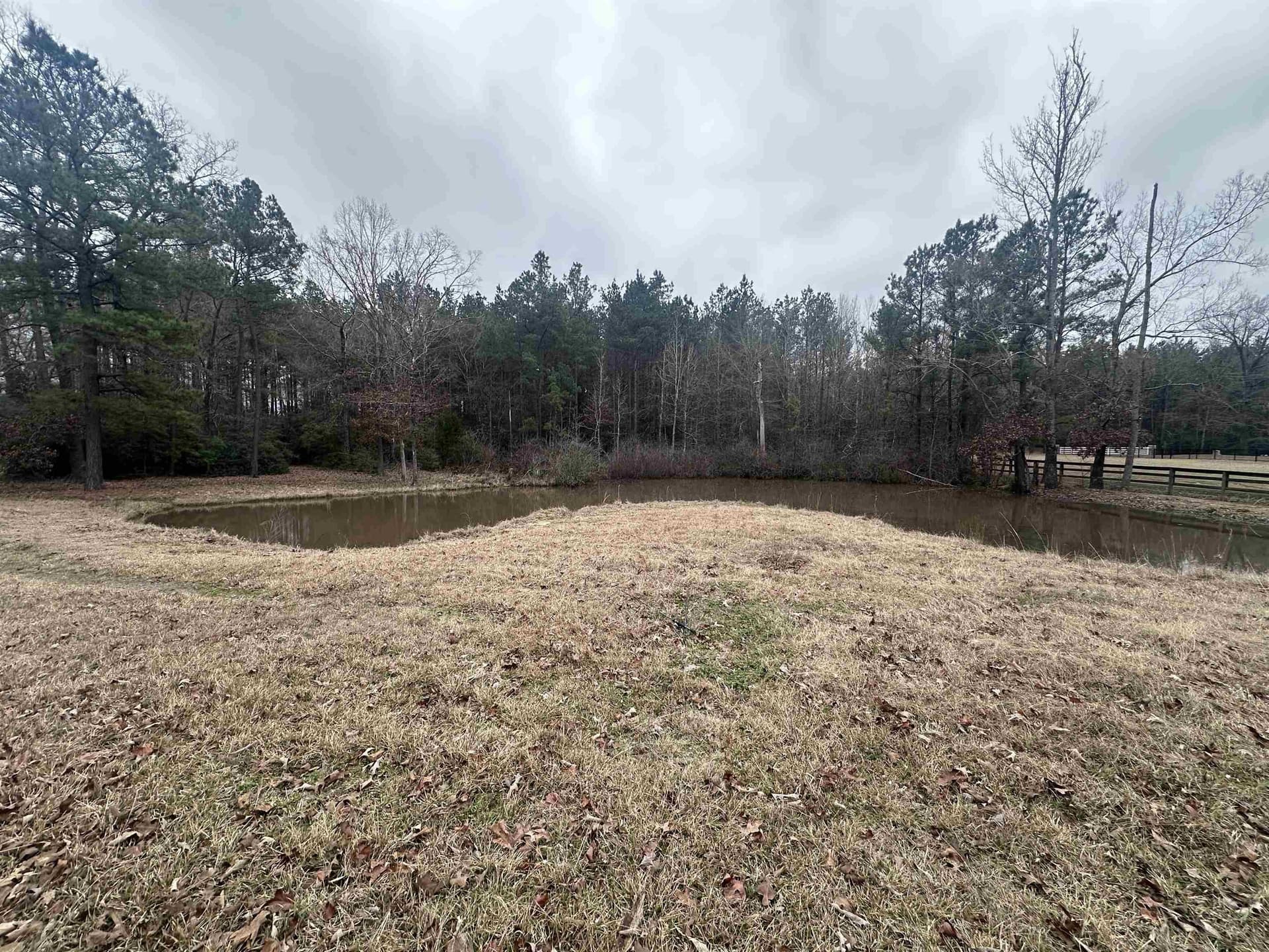 77.87 acres in Shelby County - photo 32