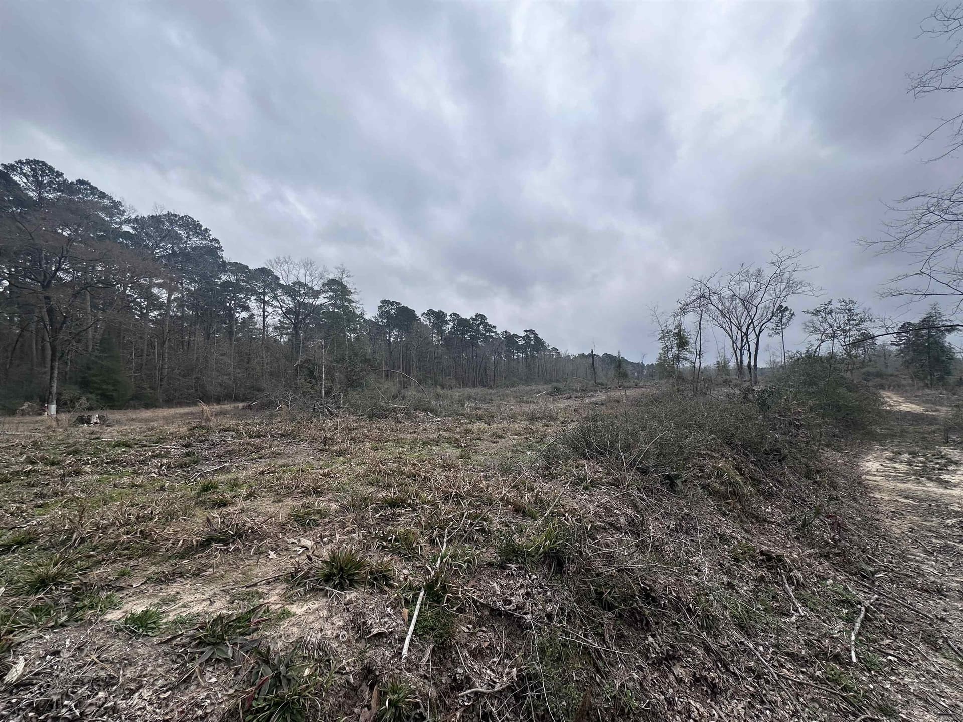77.87 acres in Shelby County - photo 24