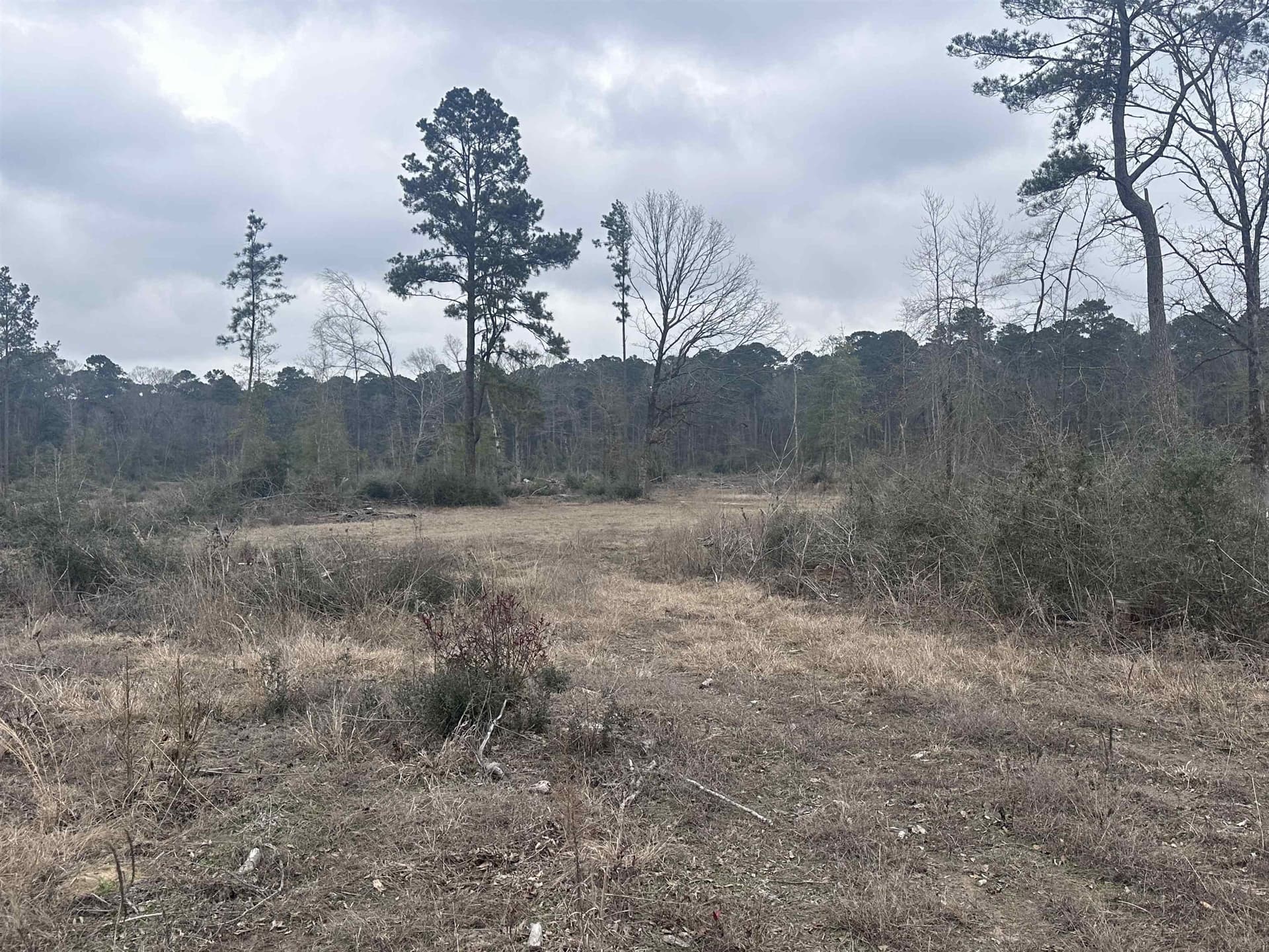 77.87 acres in Shelby County - photo 18