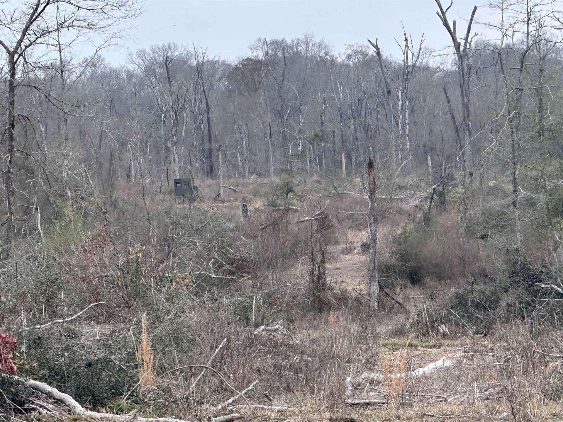 77.87 acres in Shelby County - photo 20