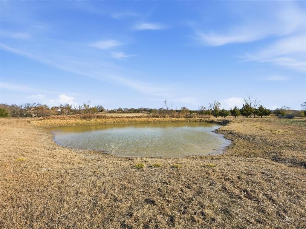 4.33 acres in Collin County - photo 21