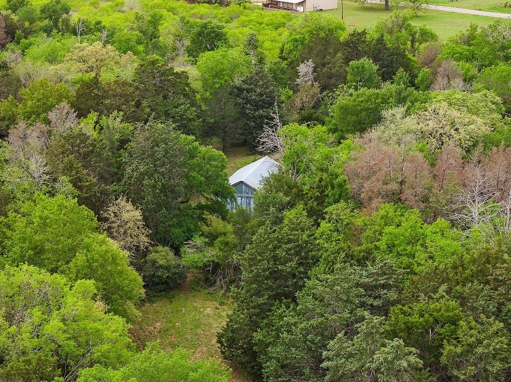 119.38 acres in Lee County - photo 7