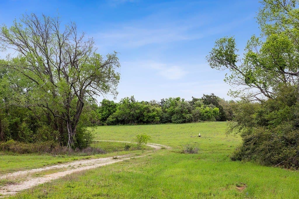119.38 acres in Lee County - photo 25