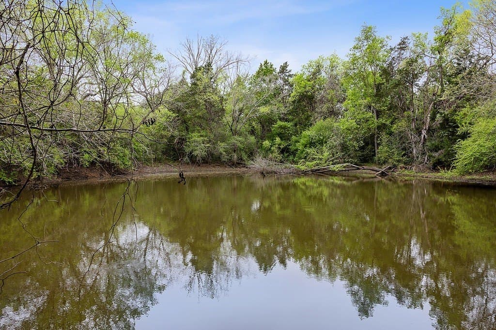 119.38 acres in Lee County - photo 2