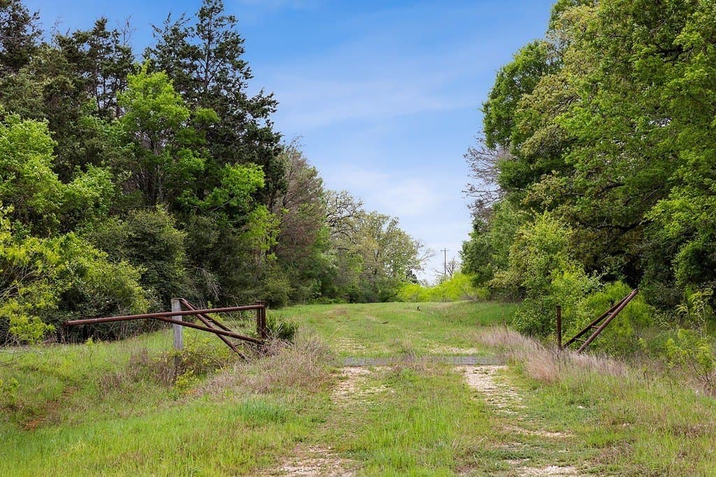 119.38 acres in Lee County - photo 24