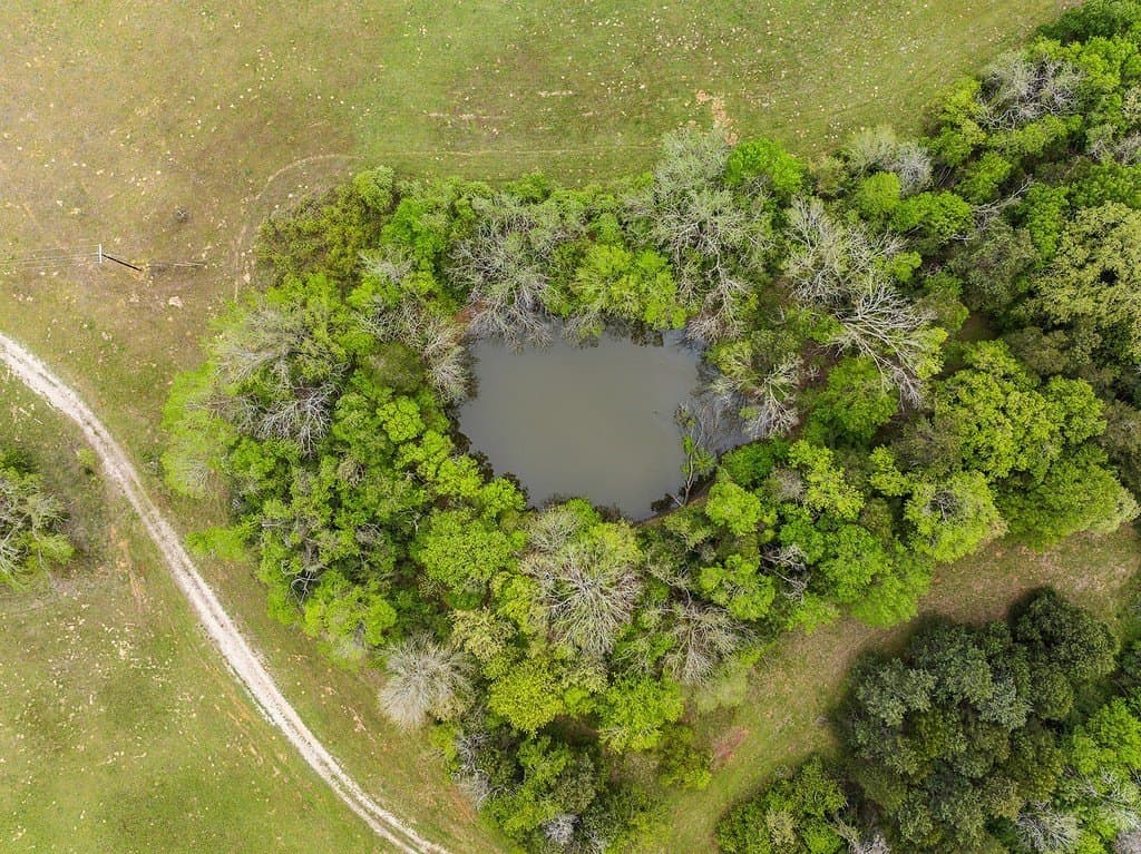 119.38 acres in Lee County - photo 15