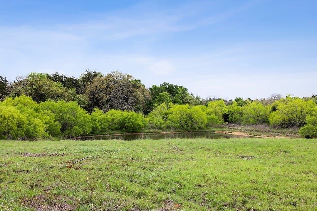 119.38 acres in Lee County - photo 27