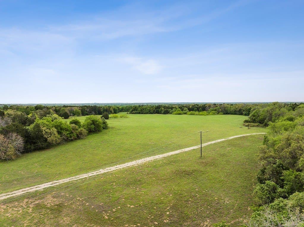 119.38 acres in Lee County - photo 16