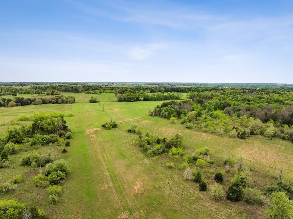 119.38 acres in Lee County - photo 18
