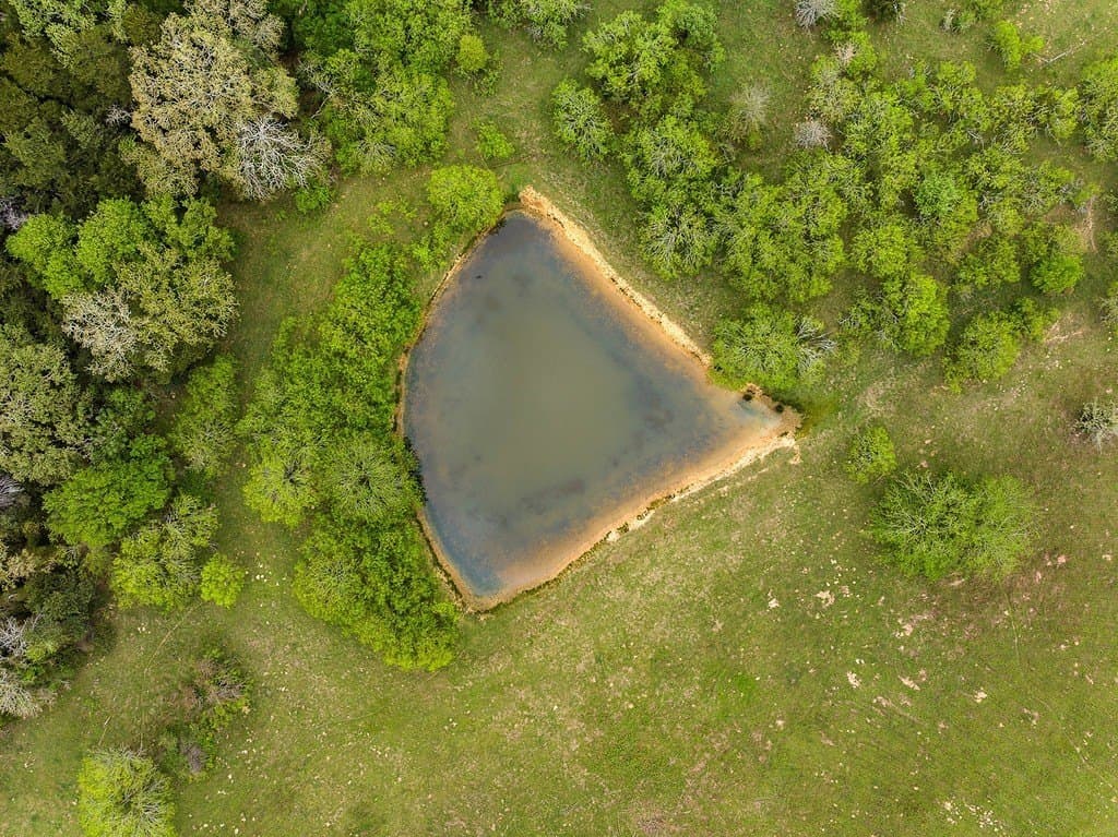 119.38 acres in Lee County - photo 11