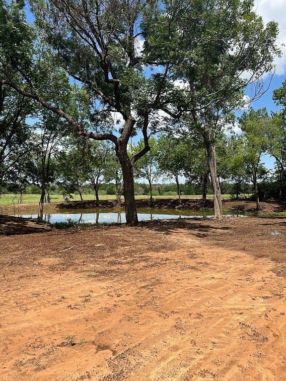 119.38 acres in Lee County - photo 30