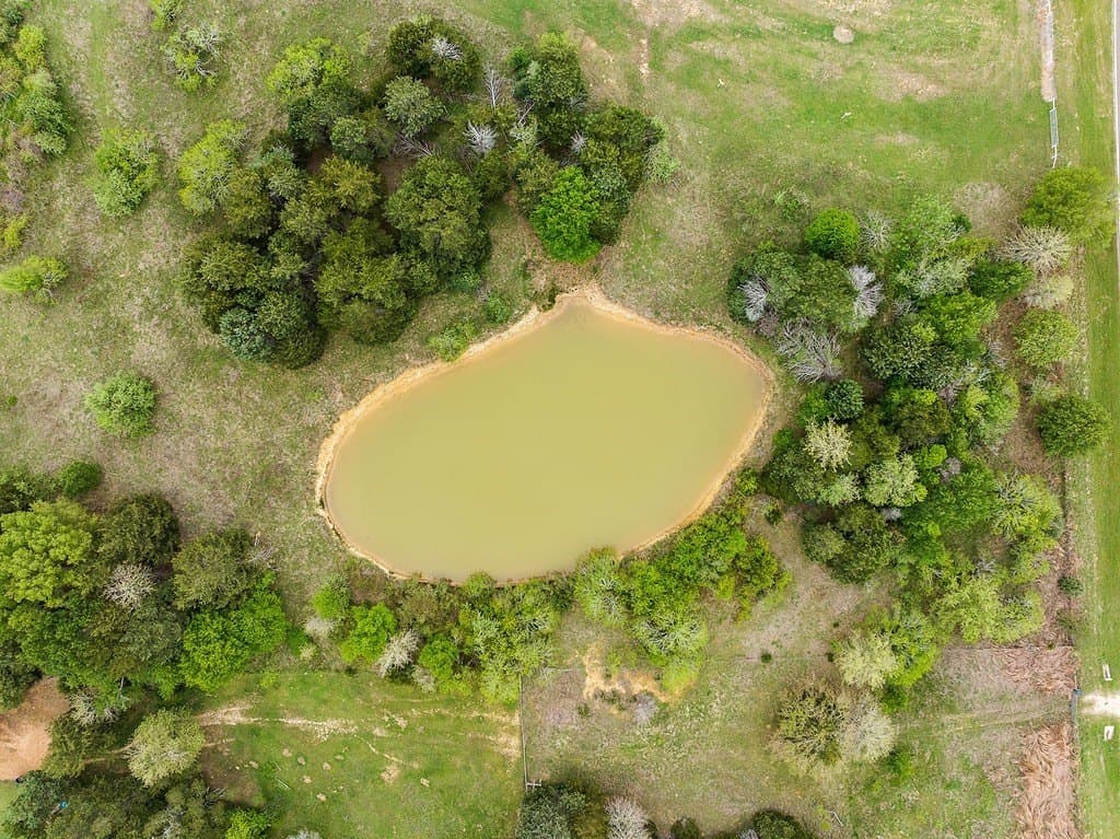 119.38 acres in Lee County - photo 19