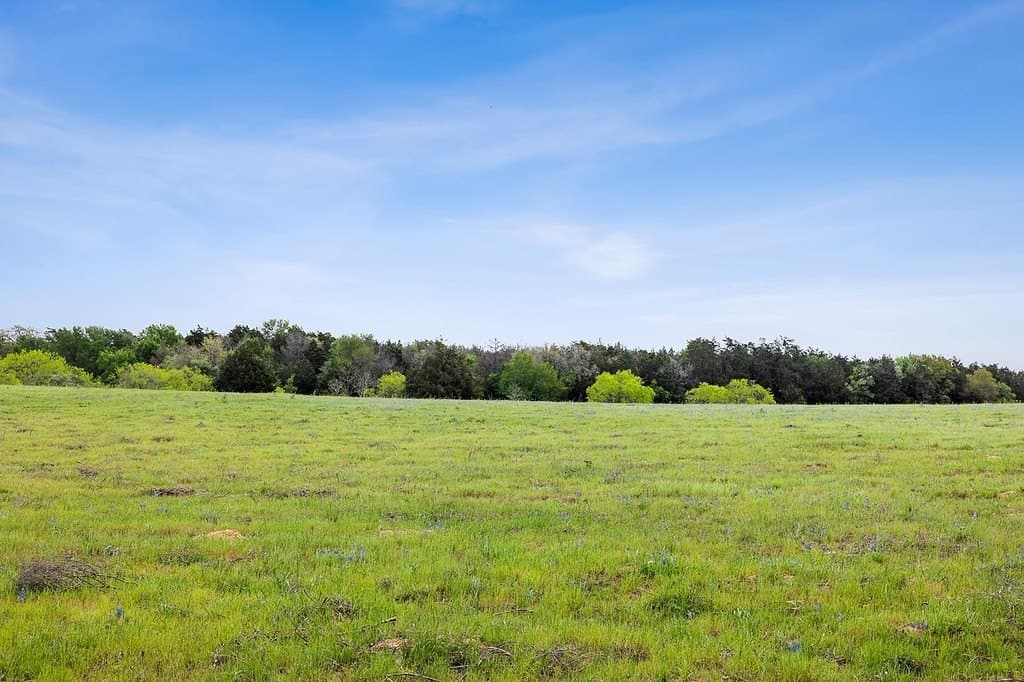 119.38 acres in Lee County - photo 4