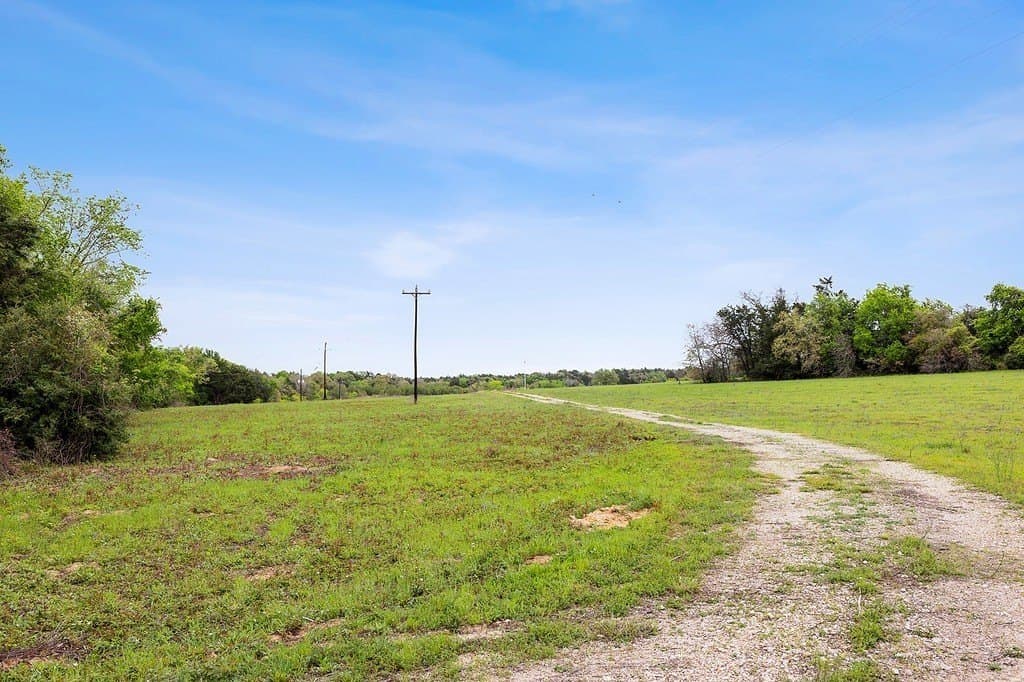 119.38 acres in Lee County - photo 3