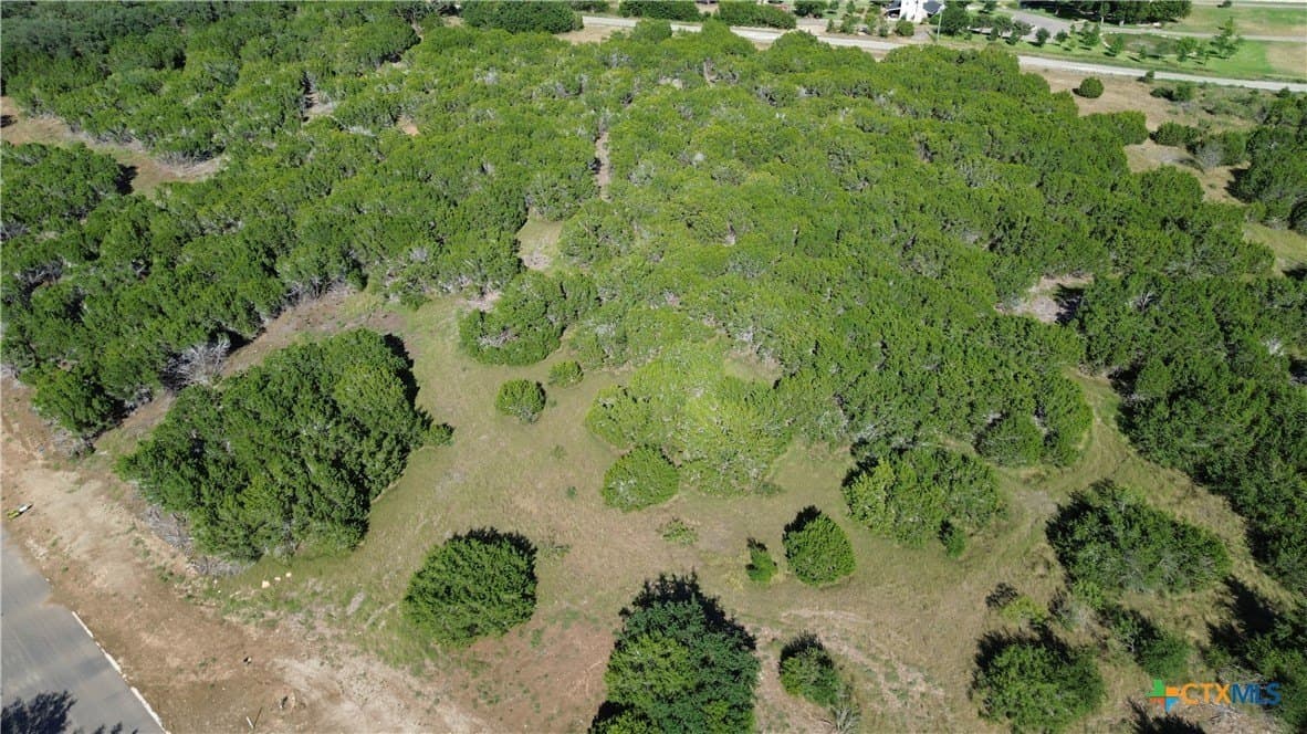 3.74 acres in Bell County - photo 5