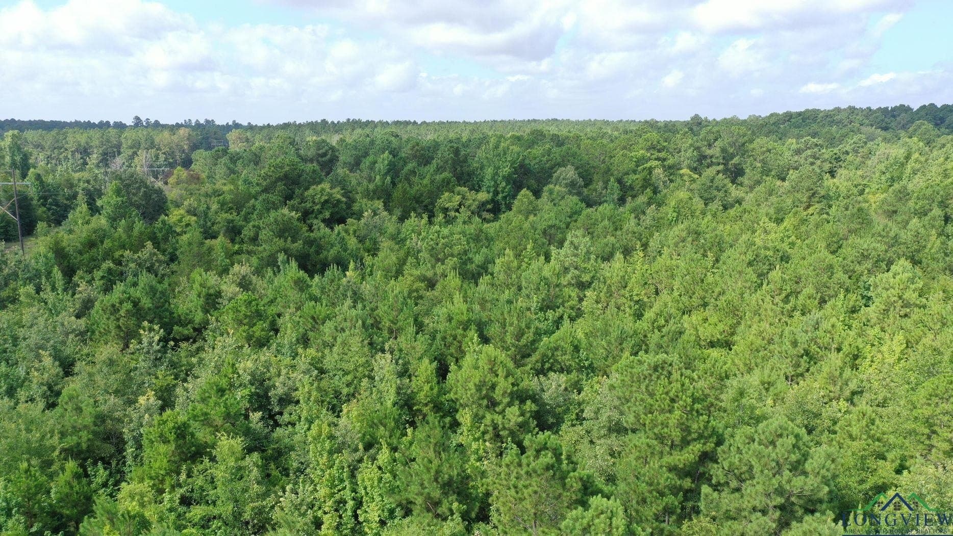 48.67 acres in Cass County - photo 5
