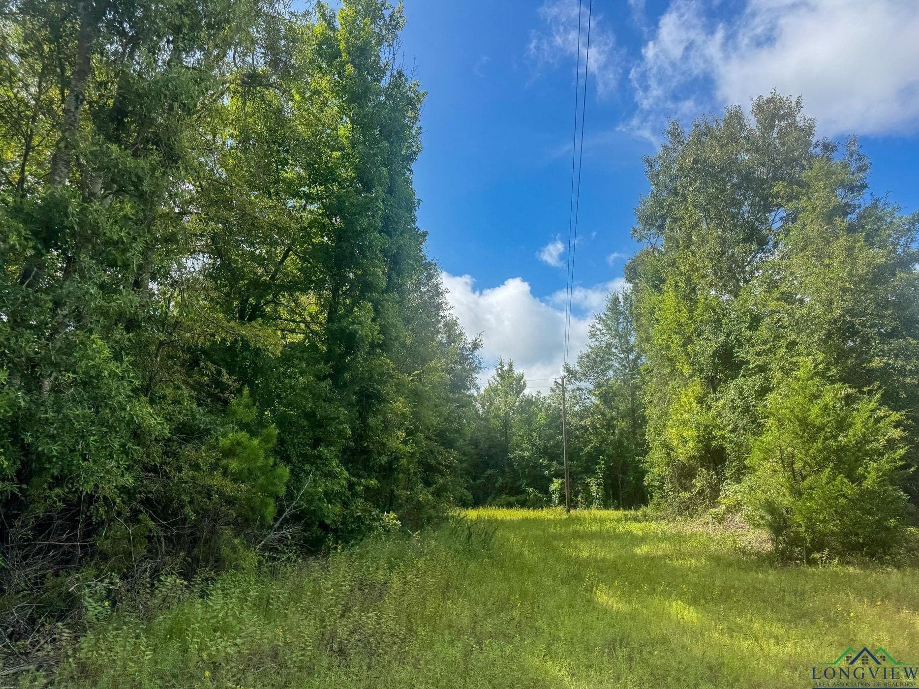 48.67 acres in Cass County - photo 19