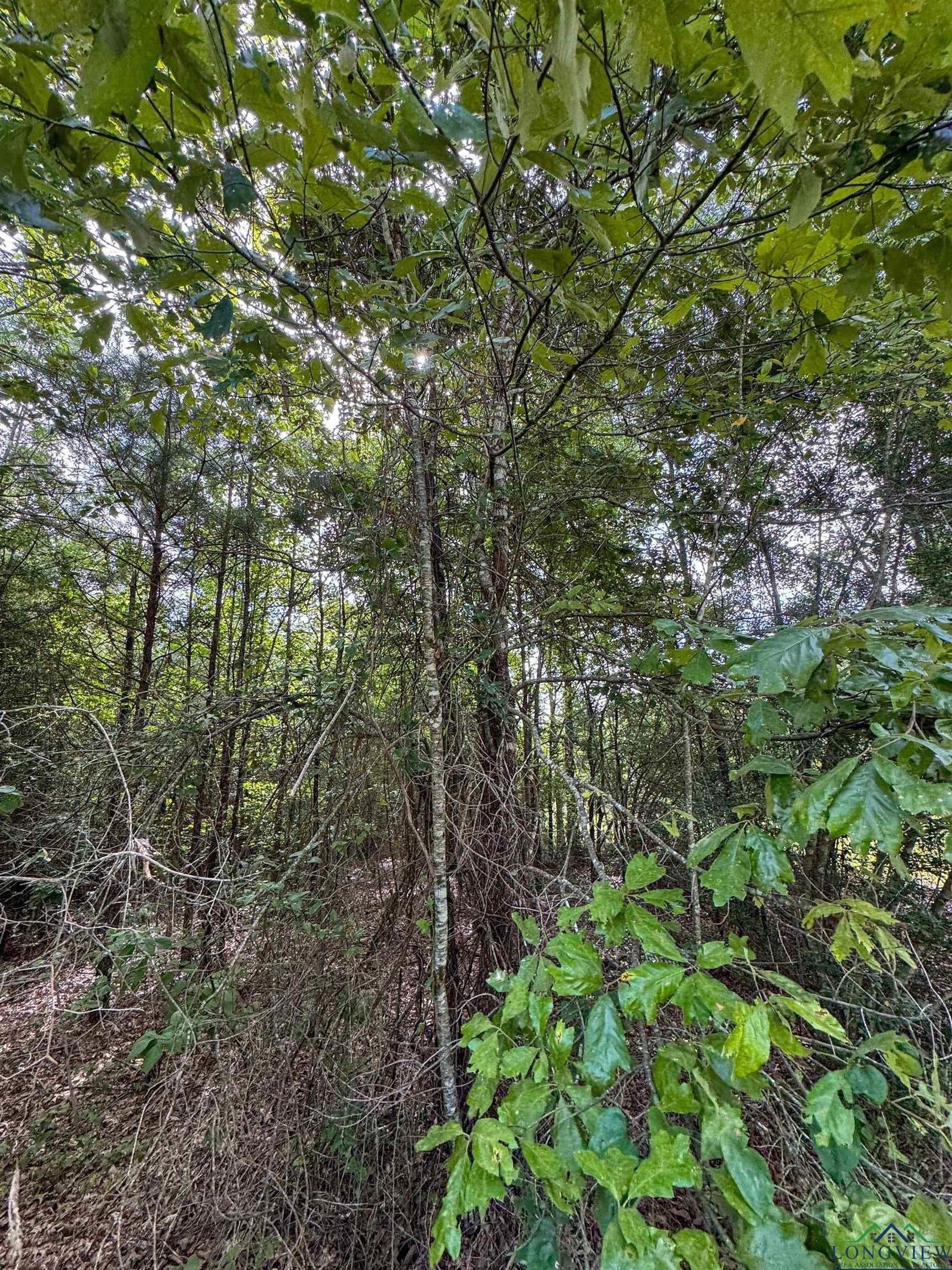 48.67 acres in Cass County - photo 13