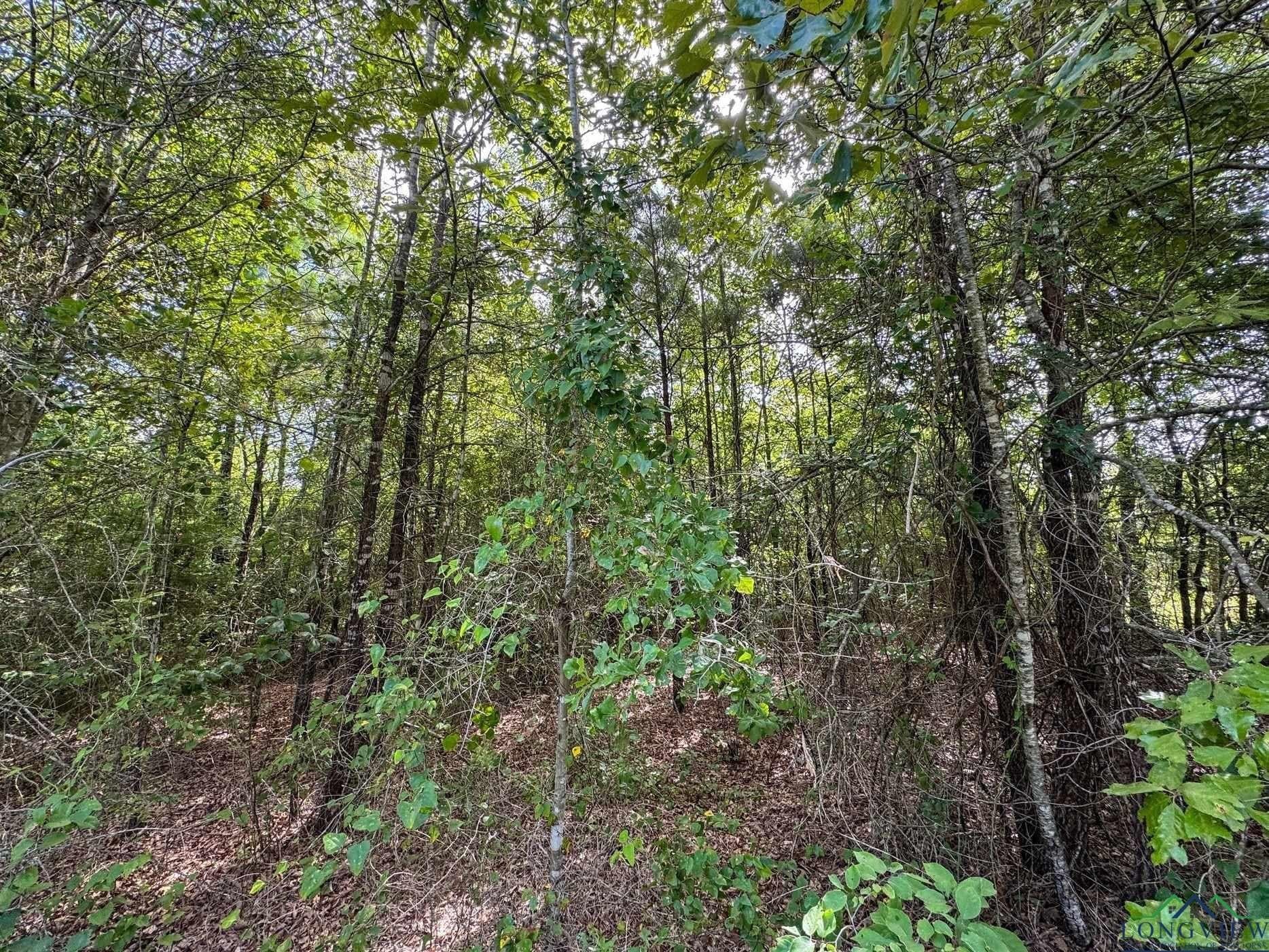 48.67 acres in Cass County - photo 7