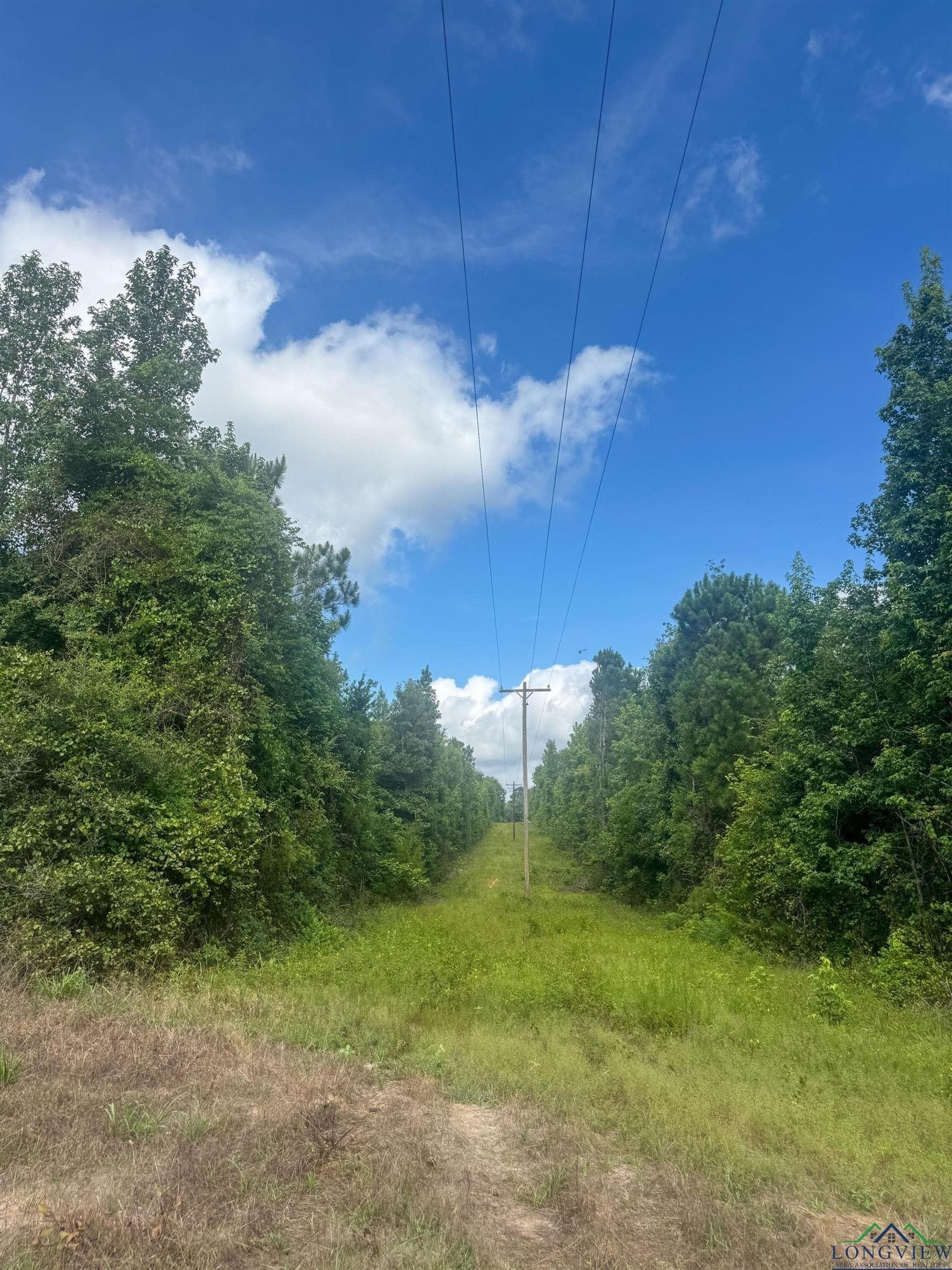 48.67 acres in Cass County - photo 18