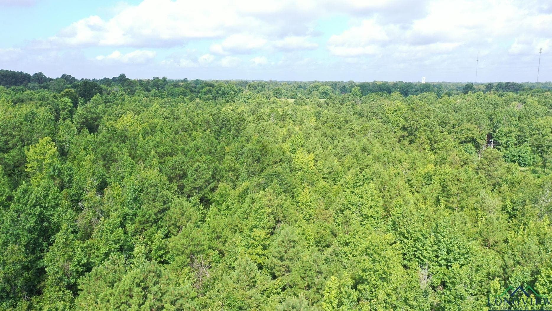 48.67 acres in Cass County - photo 4