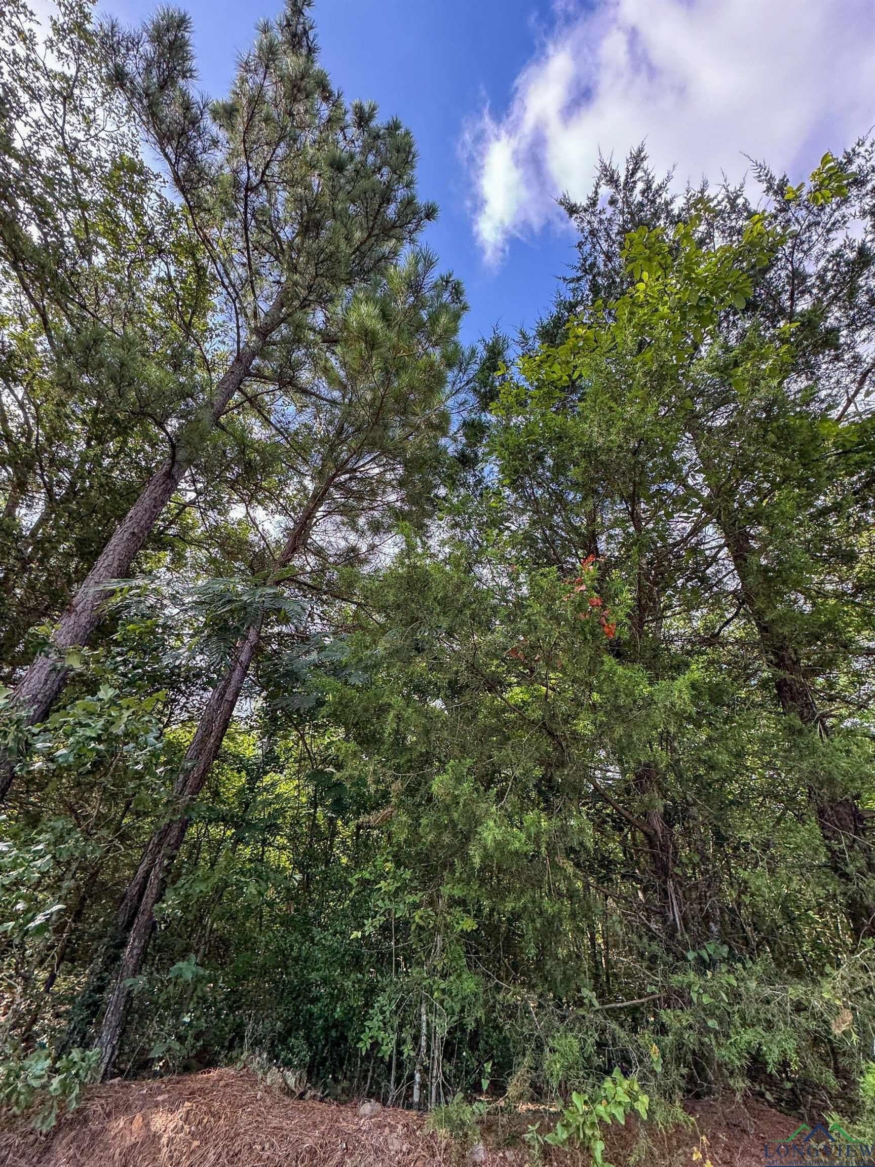 48.67 acres in Cass County - photo 11