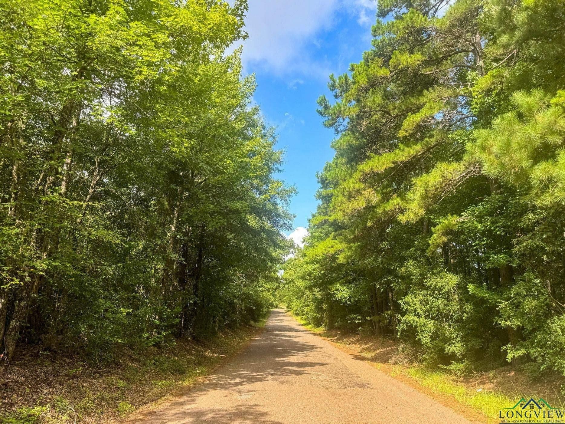 48.67 acres in Cass County - photo 23