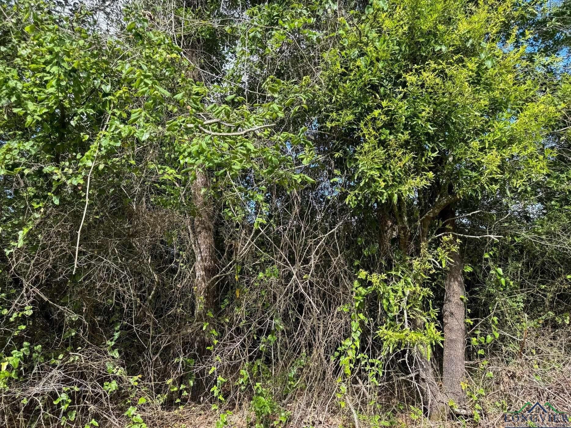 48.67 acres in Cass County - photo 8