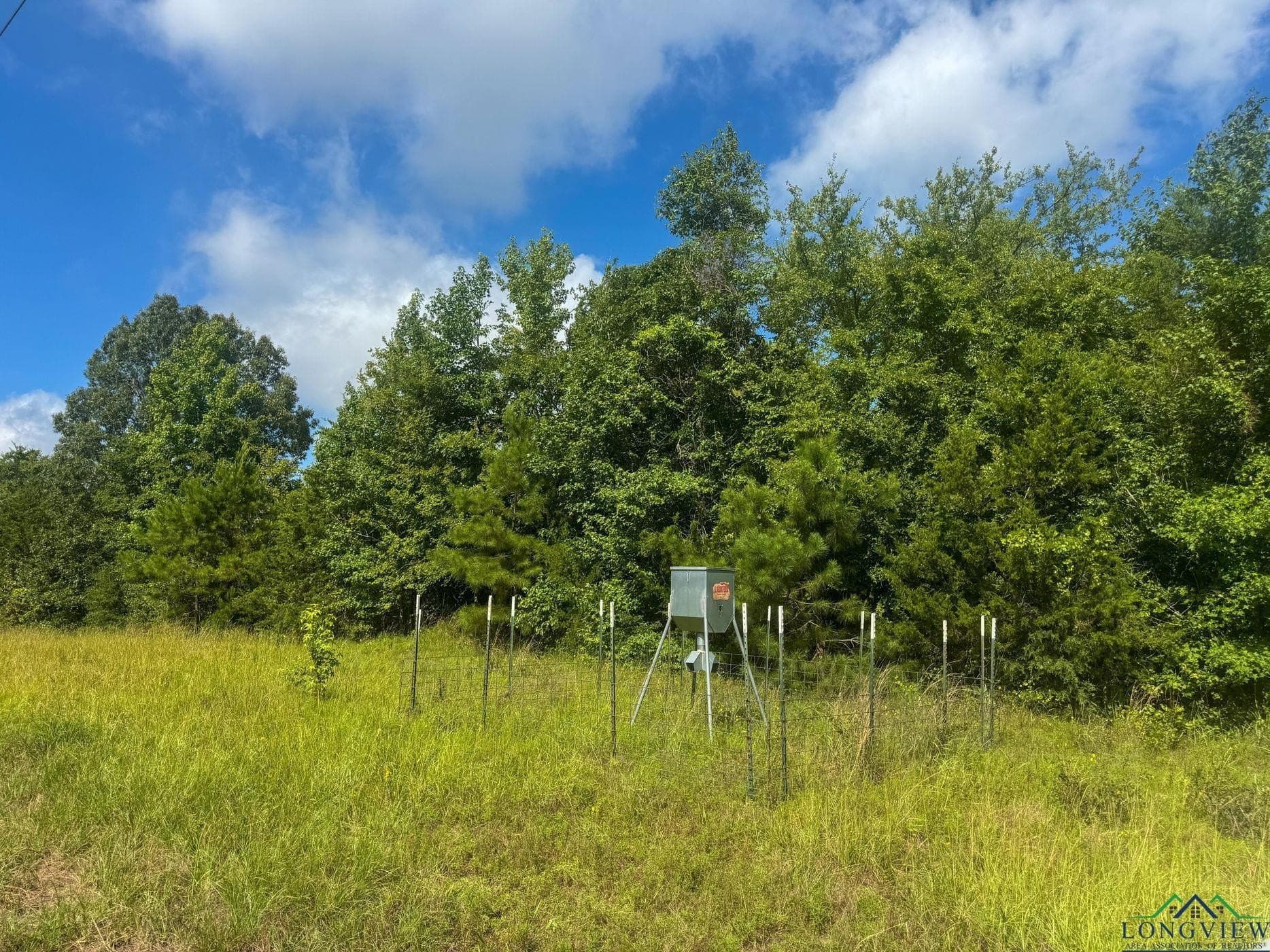48.67 acres in Cass County - photo 2