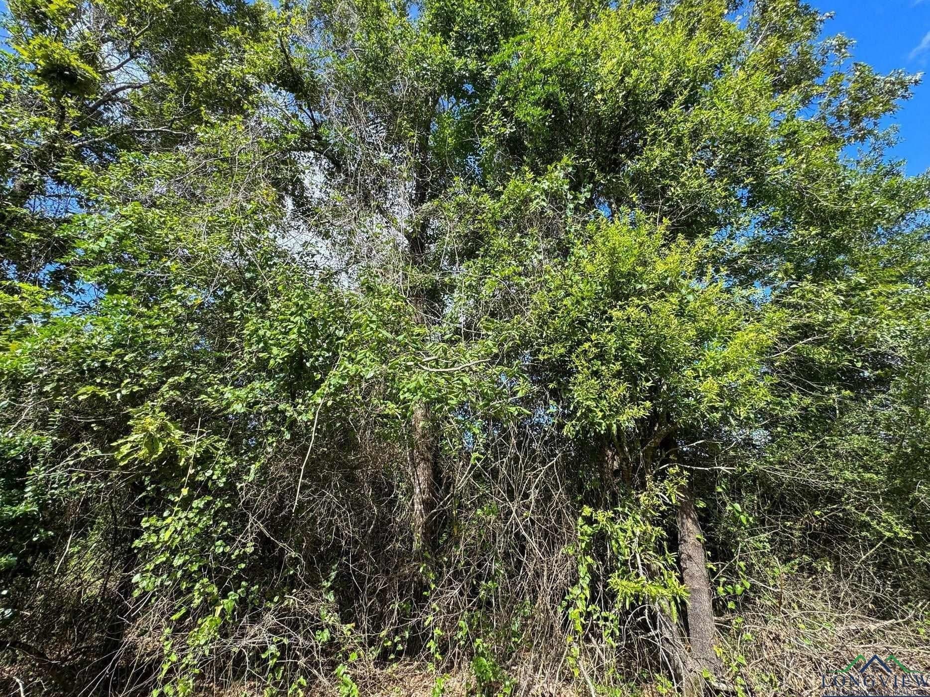 48.67 acres in Cass County - photo 9