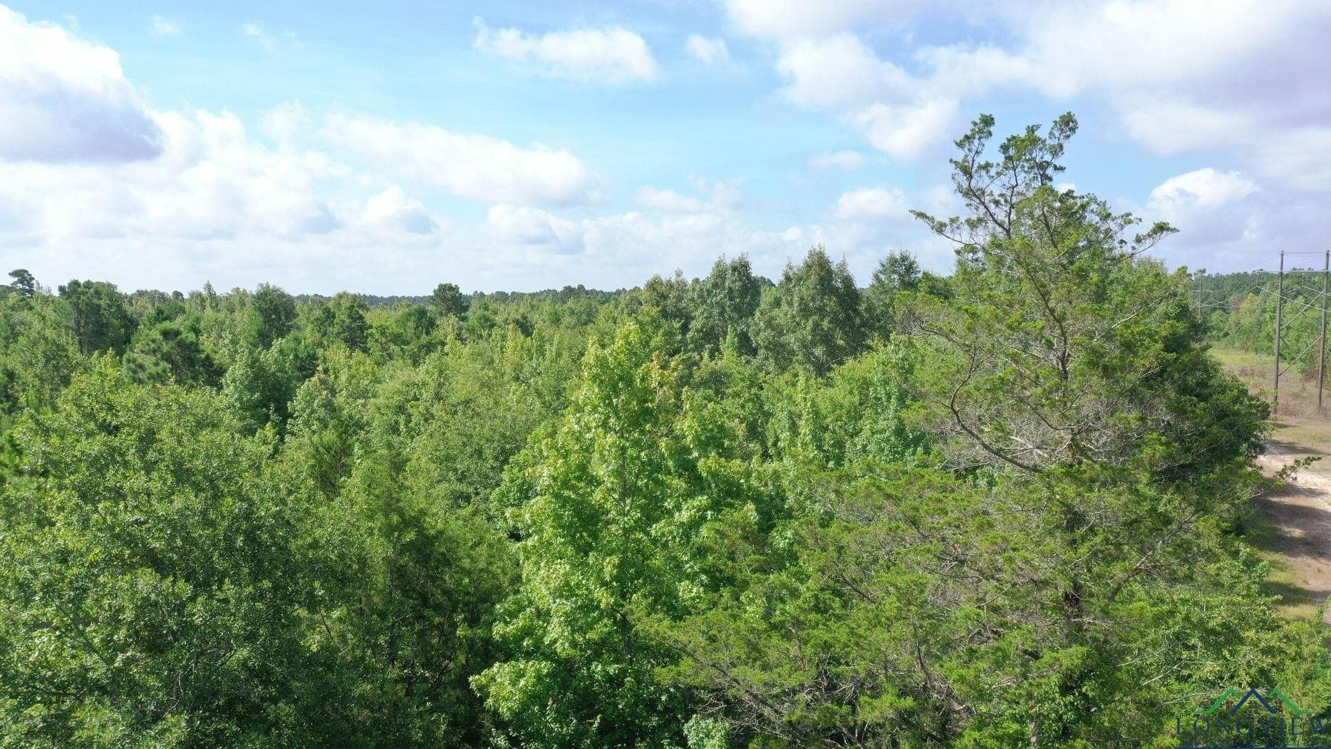 48.67 acres in Cass County - photo 15