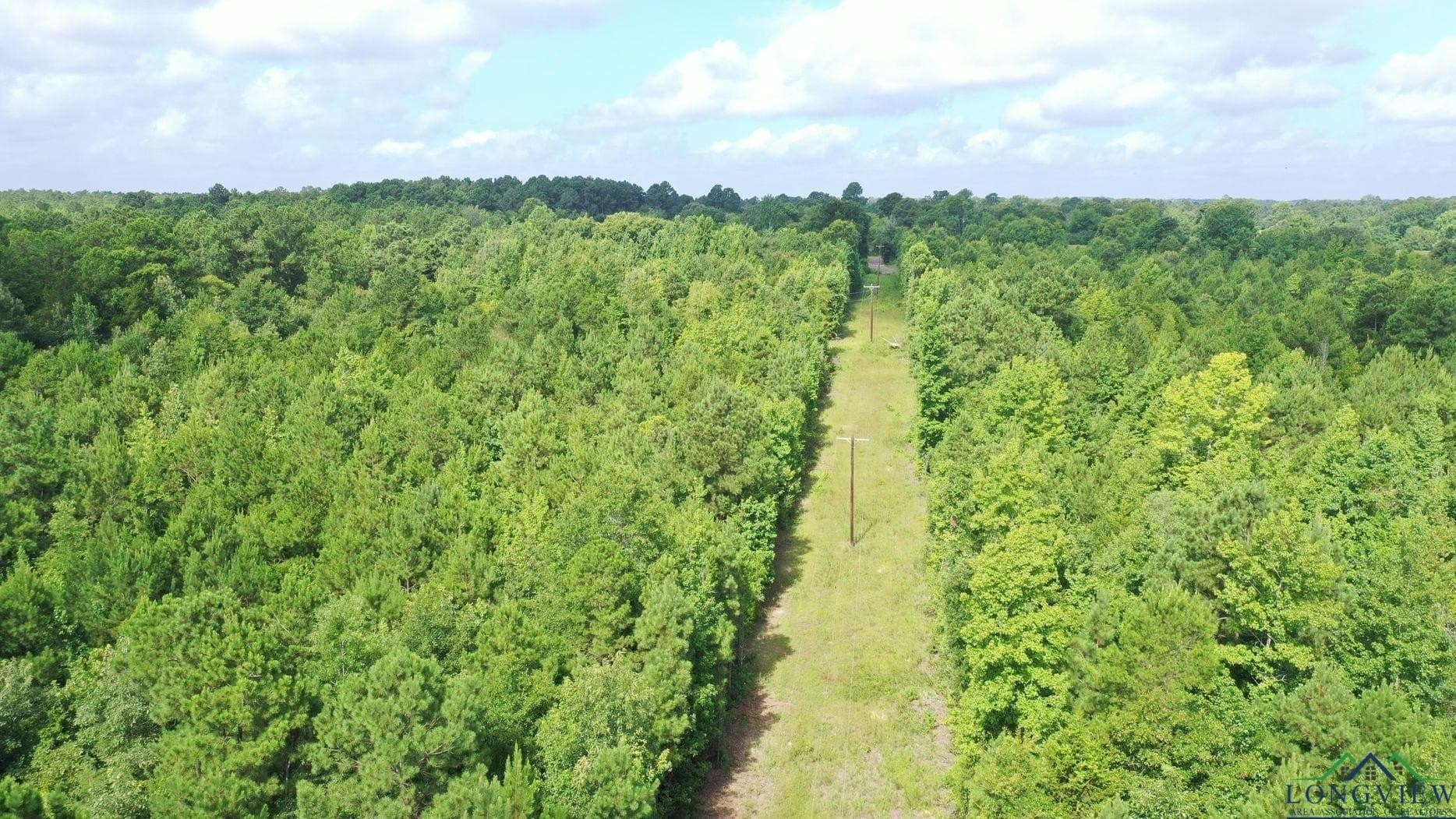 48.67 acres in Cass County - photo 16